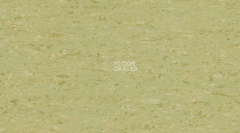 Линолеум Gerflor Mipolam Accord 0327 GARDA фото 1 | FLOORDEALER